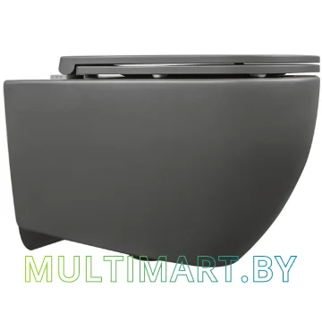 Унитаз Isvea Infinity 10NF02001 картинка 2